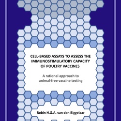 Thesis defense Robin van den Biggelaar