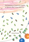 Thesis cover: Mechanisms of immune evasion in Epstein-Barr virus infection