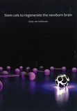Thesis cover: Stem cells to regenerate the newborn brain